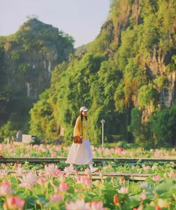 Exploring Hang Mua: Capturing the Picturesque Lotus Season in Ninh Binh - image 1
