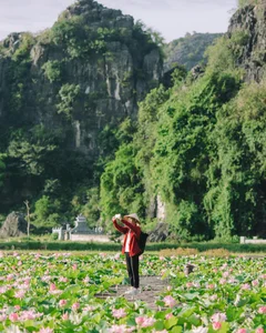 Exploring Hang Mua: Capturing the Picturesque Lotus Season in Ninh Binh - image 8