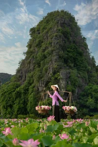 Exploring Hang Mua: Capturing the Picturesque Lotus Season in Ninh Binh - image 4