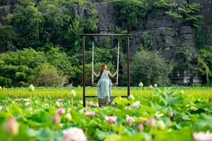 Exploring Hang Mua: Capturing the Picturesque Lotus Season in Ninh Binh - image 3