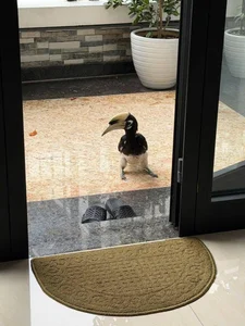 Trending Social Media News: Luxury Lifestyles and Celebrity Updates - image 17
