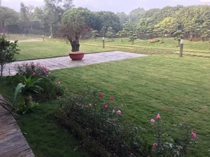 Inside Diva My Linh’s Serene Garden Villa: A Real-Life Fairyland - image 3