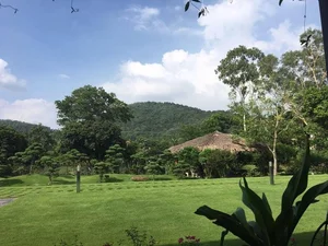 Inside Diva My Linh’s Serene Garden Villa: A Real-Life Fairyland - image 7
