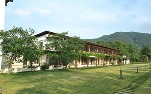 Inside Diva My Linh’s Serene Garden Villa: A Real-Life Fairyland - image 2
