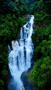 Discover Siu Puong Waterfall: A Majestic 7-Tier Trekking Paradise in Quang Ngai - image 1