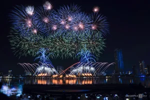 China Team Crowned Champions of Da Nang International Fireworks Festival 2025 - image 10