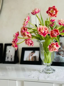 Inside the Stunning Modern Villa of an Actress Retired at 40 - image 6