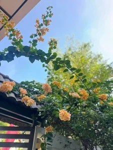 Inside the Stunning Modern Villa of an Actress Retired at 40 - image 2