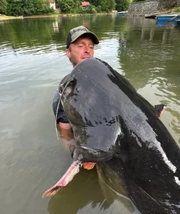 Angler Catches Giant Catfish After Epic Fifty Minute Battle - image 0