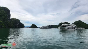 Discover the Magic of Ha Long Bay: A Guide to Vietnam’s Iconic UNESCO World Heritage Site - image 5