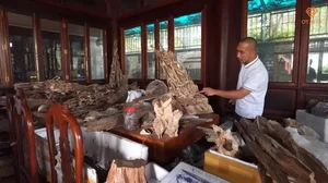 Inside the 1,000sqm Luxury Mansion Featuring Rare Wood and Billion-Dollar Agarwood - image 5