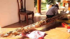 Inside the 1,000sqm Luxury Mansion Featuring Rare Wood and Billion-Dollar Agarwood - image 6