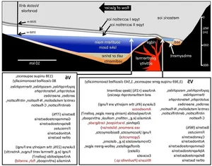 The Mystery of Lake Vostok: A 15-Million-Year-Old Antarctic Secret - image 7