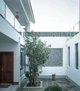 Luxury and Love: Discovering the 1,000m2 Estate Built for Aging in Style - image 0