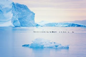 Melting Ice Reveals Greenland's Hidden Treasures and Mineral Wealth - image 4