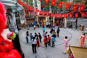 Hanoi's Newest Spring Destination: Exploring the Charm of Dao Ngoc - Ngu Xa - image 5