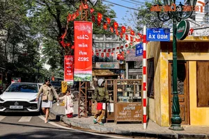 Hanoi's Newest Spring Destination: Exploring the Charm of Dao Ngoc - Ngu Xa - image 8