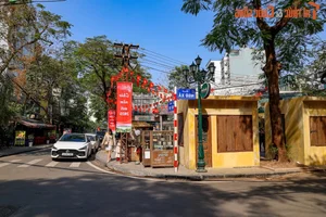 Hanoi's Newest Spring Destination: Exploring the Charm of Dao Ngoc - Ngu Xa - image 4
