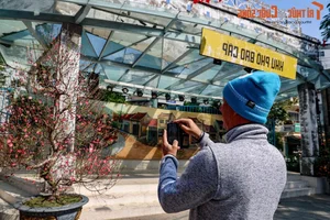 Hanoi's Newest Spring Destination: Exploring the Charm of Dao Ngoc - Ngu Xa - image 1