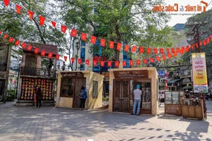 Hanoi's Newest Spring Destination: Exploring the Charm of Dao Ngoc - Ngu Xa - image 6