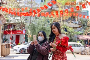 Hanoi's Newest Spring Destination: Exploring the Charm of Dao Ngoc - Ngu Xa - image 7