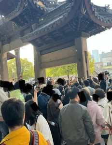 The Famous Superstar Cat in China Netizens Visit for High Fives - image 4
