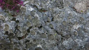 The Mystery of Pedras Parideiras: Discovering the Rare 'Birthing Stones' of Portugal's Arouca Geopark - image 6