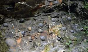 The Mystery of Pedras Parideiras: Discovering the Rare 'Birthing Stones' of Portugal's Arouca Geopark - image 7
