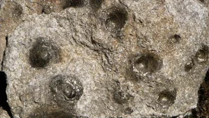 The Mystery of Pedras Parideiras: Discovering the Rare 'Birthing Stones' of Portugal's Arouca Geopark - image 1