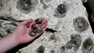 The Mystery of Pedras Parideiras: Discovering the Rare 'Birthing Stones' of Portugal's Arouca Geopark - image 0