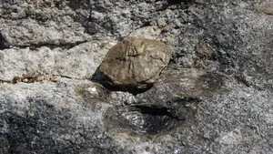 The Mystery of Pedras Parideiras: Discovering the Rare 'Birthing Stones' of Portugal's Arouca Geopark - image 2