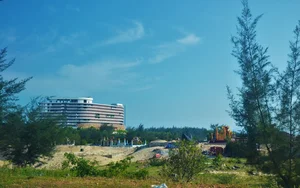Investigation Into Illegal Coastal Forest Clearing for Cemeteries in Quang Binh - image 3