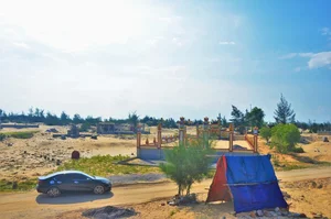Investigation Into Illegal Coastal Forest Clearing for Cemeteries in Quang Binh - image 1