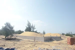 Investigation Into Illegal Coastal Forest Clearing for Cemeteries in Quang Binh - image 0