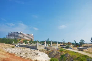 Investigation Into Illegal Coastal Forest Clearing for Cemeteries in Quang Binh - image 5
