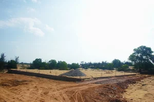 Investigation Into Illegal Coastal Forest Clearing for Cemeteries in Quang Binh - image 8