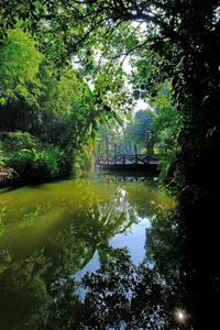 Inside the 120 Billion VND Luxury Resort: What Makes Nang Mo's Family Property So Valuable? - image 2