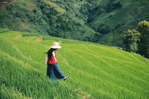 Escaping to Xim Vang: Discovering Northwest Vietnam's Hidden Green Paradise - image 10