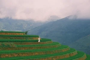Escaping to Xim Vang: Discovering Northwest Vietnam's Hidden Green Paradise - image 8