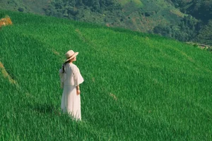Escaping to Xim Vang: Discovering Northwest Vietnam's Hidden Green Paradise - image 6