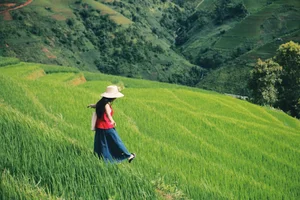 Escaping to Xim Vang: Discovering Northwest Vietnam's Hidden Green Paradise - image 5