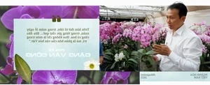From War Zone to Space: The Inspiring Journey of Vietnam’s Flower Industry - image 13