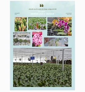 From War Zone to Space: The Inspiring Journey of Vietnam’s Flower Industry - image 10