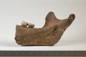 The Mystery of the 4,000-Year-Old Dagger Found in an Italian Cave - image 5