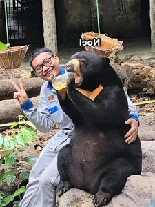 Meet the Viral Animal Stars with Unique Personalities at Saigon Zoo - image 2