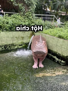 Meet the Viral Animal Stars with Unique Personalities at Saigon Zoo - image 3
