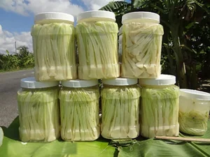 From Survival Food to Gourmet Specialty: The Rise of Edible Weeds - image 1