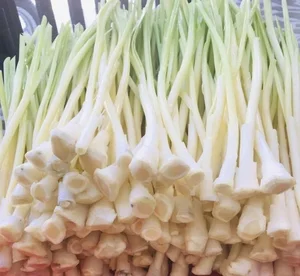 From Survival Food to Gourmet Specialty: The Rise of Edible Weeds - image 2