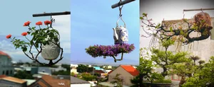 Upside-Down Bonsai: Discover Vietnam's Unique Living Art Phenomenon - image 10