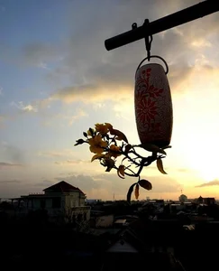 Upside-Down Bonsai: Discover Vietnam's Unique Living Art Phenomenon - image 5
